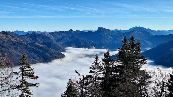 Photo de Regina Fleischmann le long du parcours