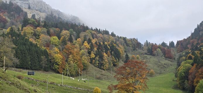 Fotografie z Zèé na trase