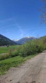 Foto von Mangolein entlang der Tour