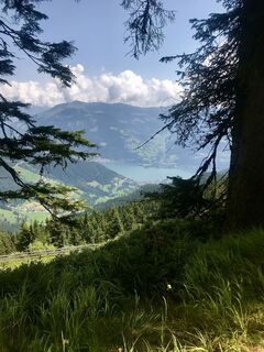 Photo de Kellner Heidi le long du parcours