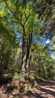 Zdjęcie z Richard Schwald wzdłuż trasy
