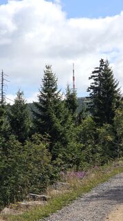 Photo de JPseines le long du parcours