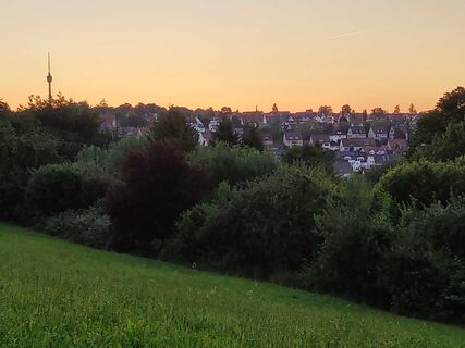 Abendstimmung über Sillenbuch