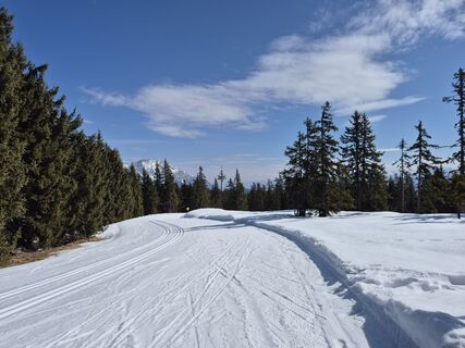 Fotografija s spletne strani Brigitta Madár na poti