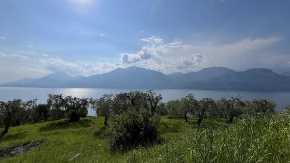 Foto von Ma Wa entlang der Tour