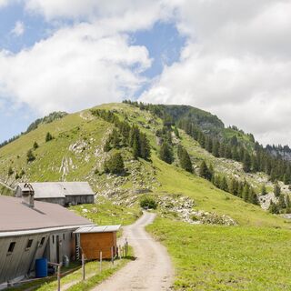 Amdnerhöhi