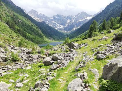 Zemljevid
