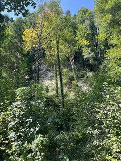 Photo de Corinne kuhn le long du parcours