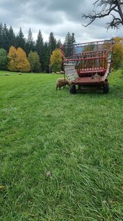 Fotografija s spletne strani Rene Wippel na poti