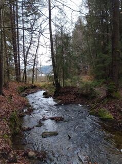 Foto von thomas krassnitzer 1 entlang der Tour