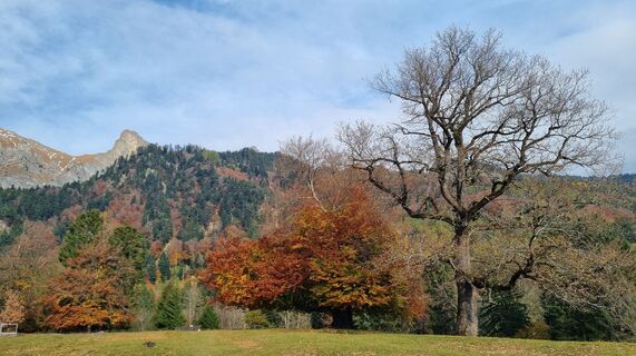 Foto von Erika Stricker entlang der Tour