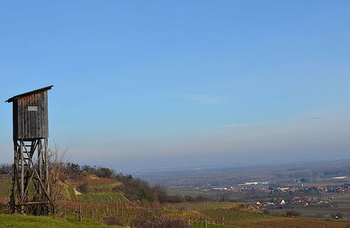 Blick ins Donautal und Tullnerfeld