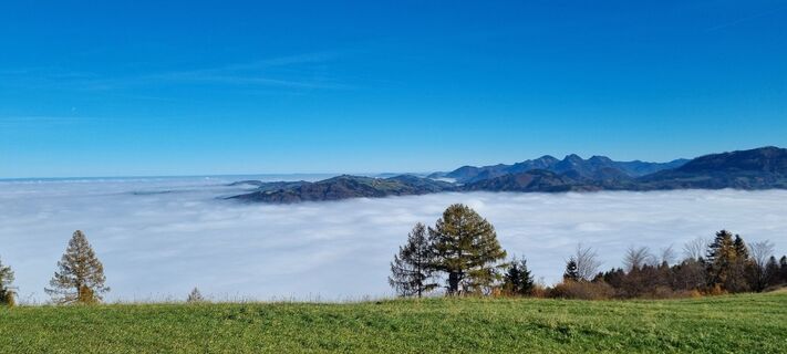 Foto von Gabi G entlang der Tour