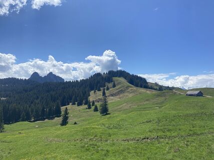 Fotografie z Richard Bronold na trase