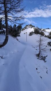 Zdjęcie z Jordy wzdłuż trasy