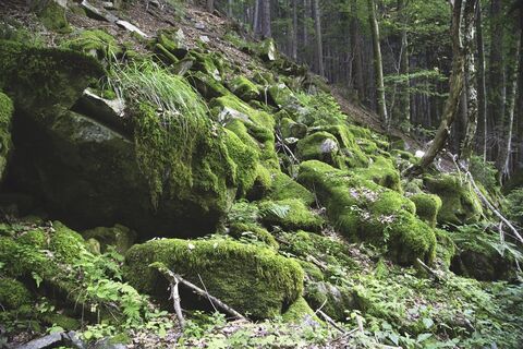 Felsen bei Hudi Kot