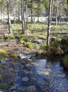 Photo de Daniela Vlasic le long du parcours