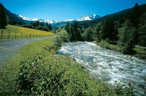 Der Fluss Saalach. 