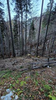 Photo de se_muck le long du parcours
