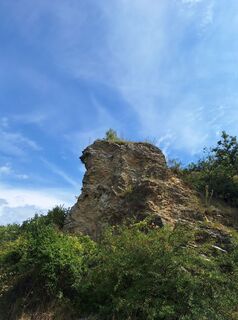Fotografija s spletne strani Marion Masilko na poti