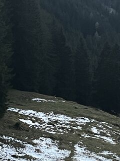 Fotografia z Aurelian Böhler na trase