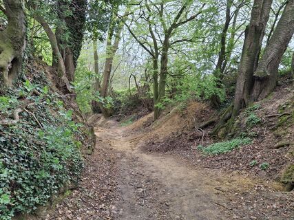 Fotografia z Peter spierenburg na trase