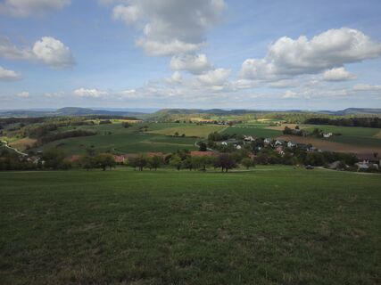 Fotografia z Manfred Mueri na trase
