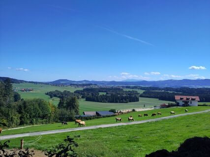 Photo de Chr Lenz le long du parcours