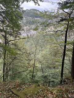 Photo de Car Wanderfreude le long du parcours