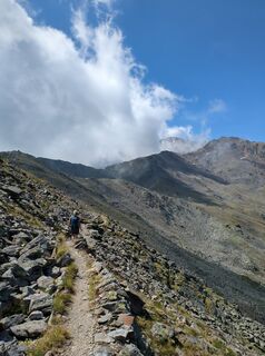 Photo de King Kong le long du parcours