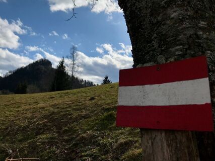 Rotstein-Trail - Großraming
