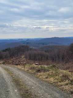 Fotografia z Jens Henk na trase