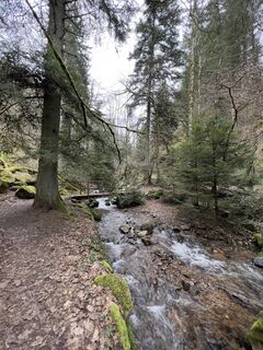 Foto von vcandil entlang der Tour