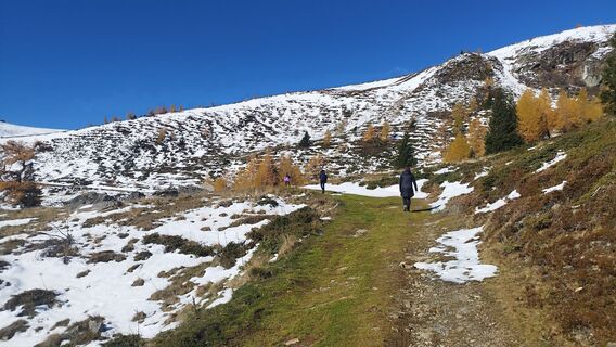 Photo de cat le long du parcours