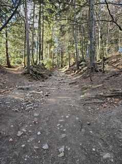 Schöckl Normalweg „21er“ (von St. Radegund)