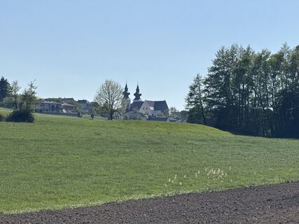 Zdjęcie z F. Shirazi-Joska wzdłuż trasy