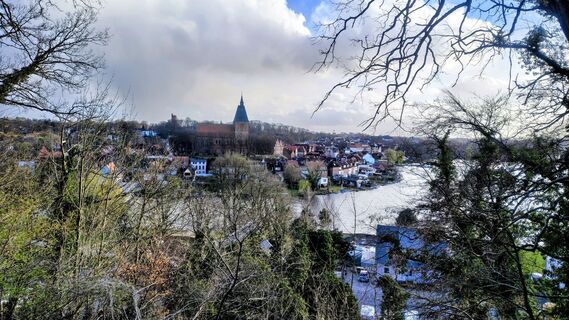 Foto von Sauerpurzel entlang der Tour