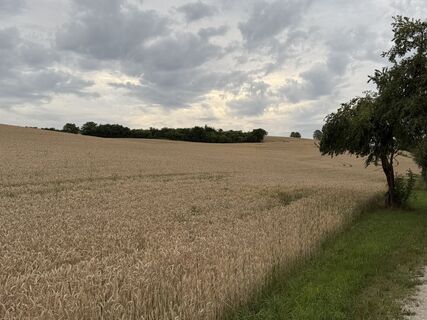 Foto von Schaali entlang der Tour