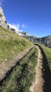Photo de Mountain Cat ? ⛰️ le long du parcours