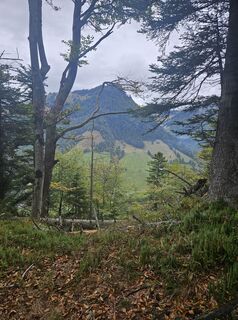 Foto von Markus Backert entlang der Tour