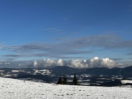 Foto von Susanne entlang der Tour