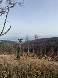 Photo de Gino Valentino Pensuni le long du parcours