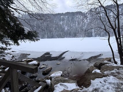 Foto från tomzer under resans gång