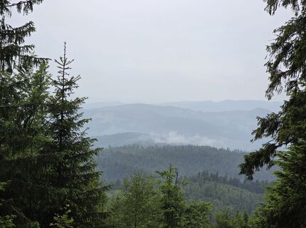 Zdjęcie z Grażyna wzdłuż trasy