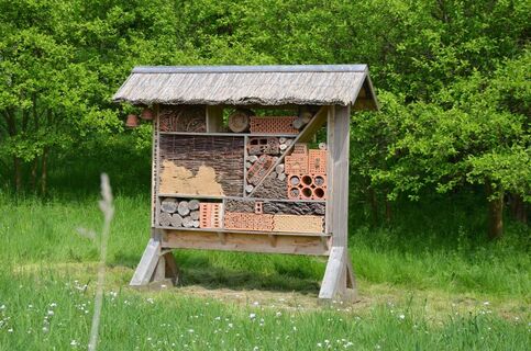 Insektenhotel auf dem BUND-Waldhaus-Gelände Altenhagen bei Salzgitter-Lichtenberg