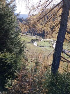 Foto von dahe entlang der Tour