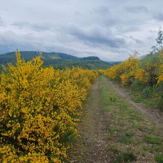 Foto de Volker Wagener a lo largo del recorrido