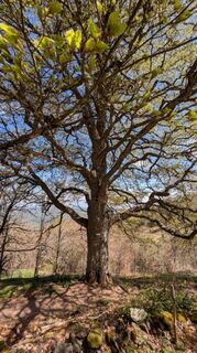 Photo de Richard Schwald le long du parcours