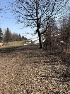 Fotografia z Reinhard Frewein na trase