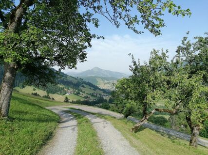 Wildschönau Oberau Loya